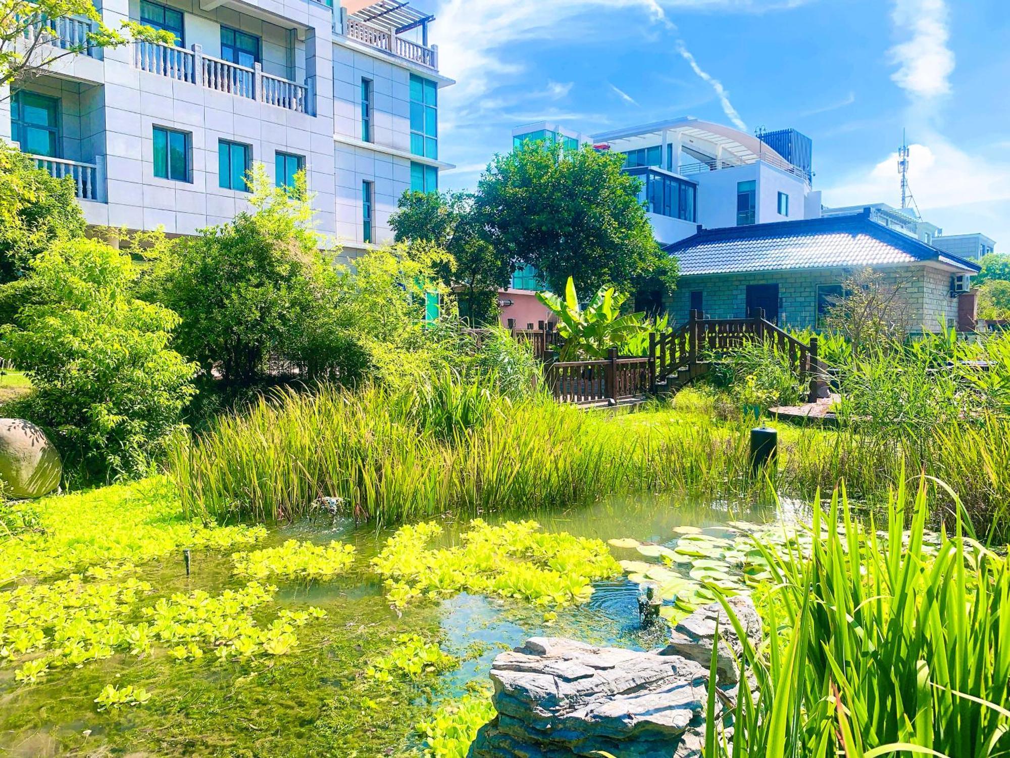 Shushe Hotel Shanghai Exterior photo